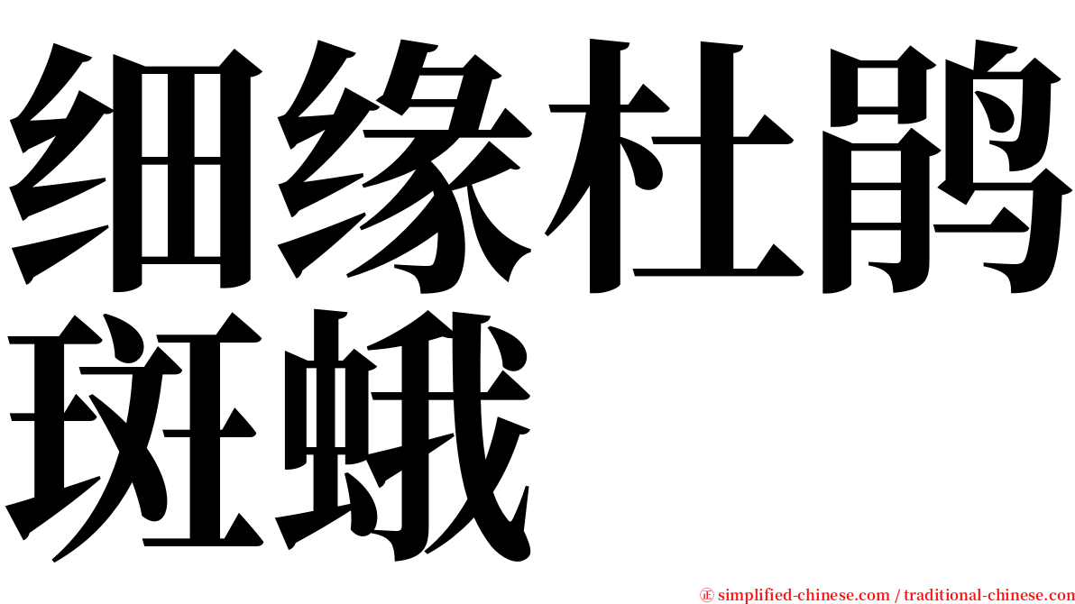 细缘杜鹃斑蛾 serif font