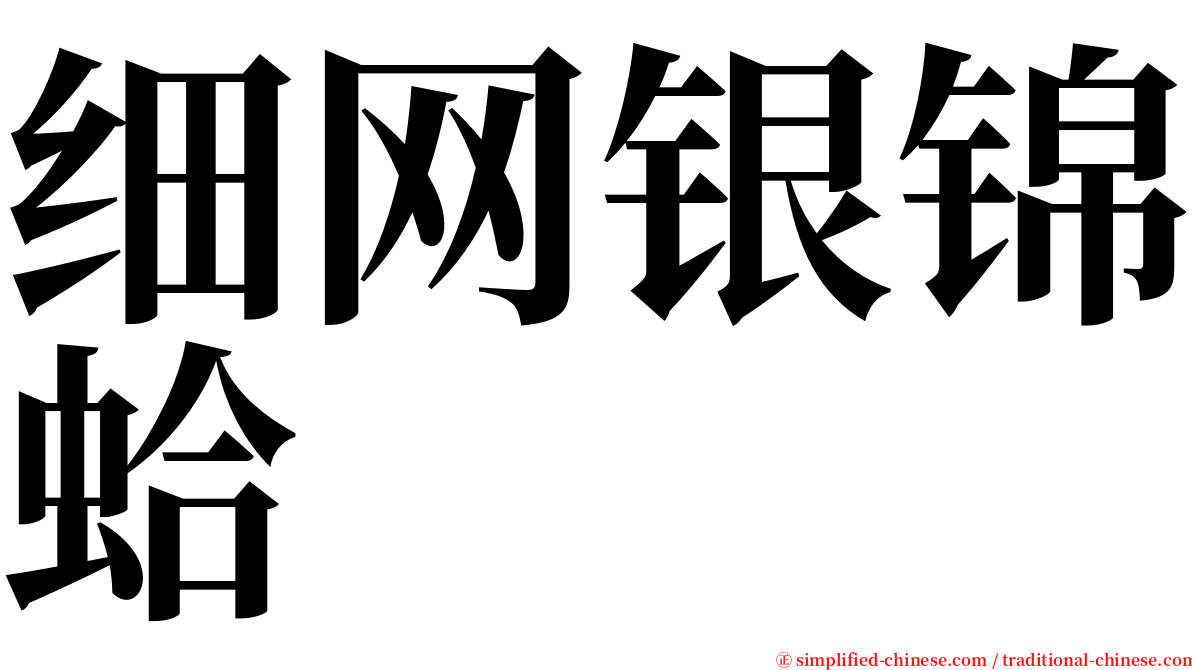 细网银锦蛤 serif font