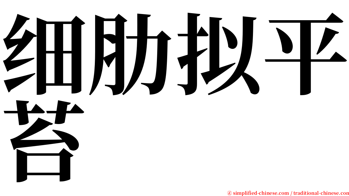 细肋拟平苔 serif font