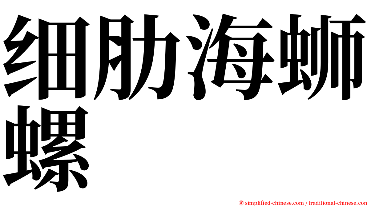 细肋海蛳螺 serif font