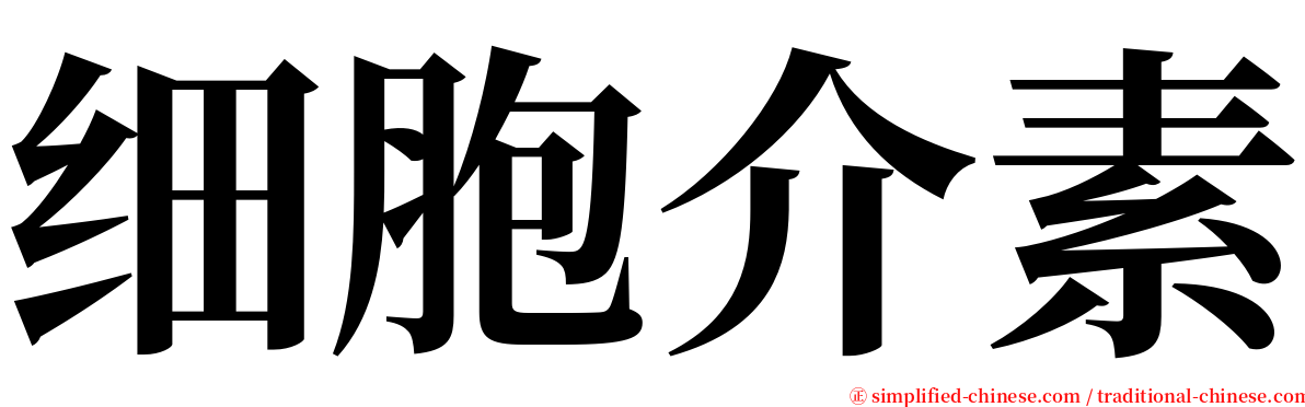 细胞介素 serif font