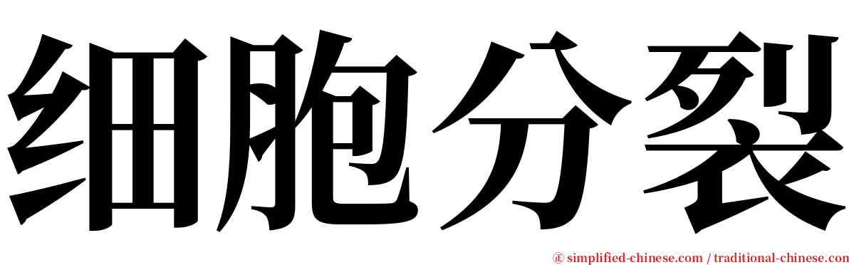 细胞分裂 serif font