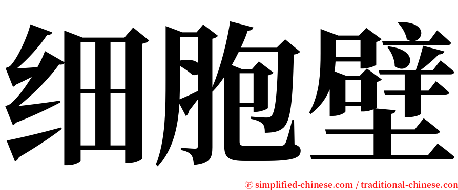 细胞壁 serif font