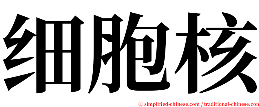 细胞核 serif font