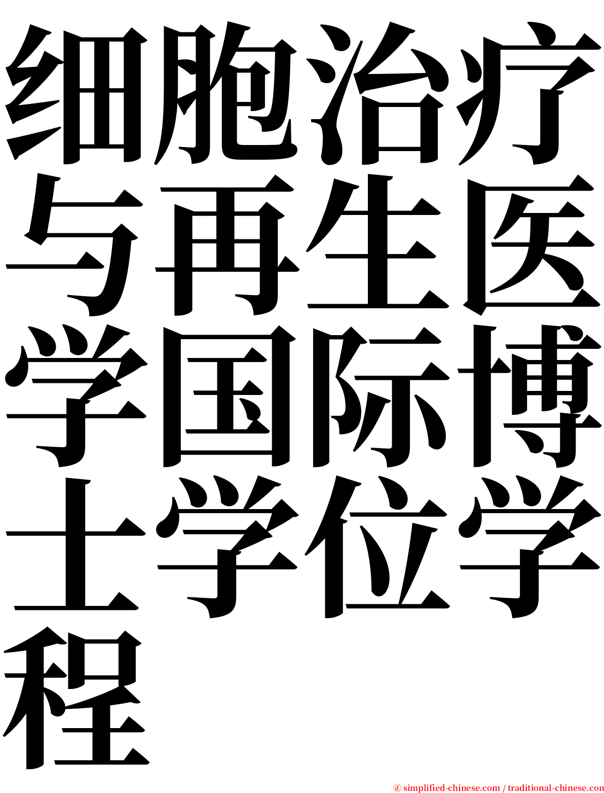 细胞治疗与再生医学国际博士学位学程 serif font