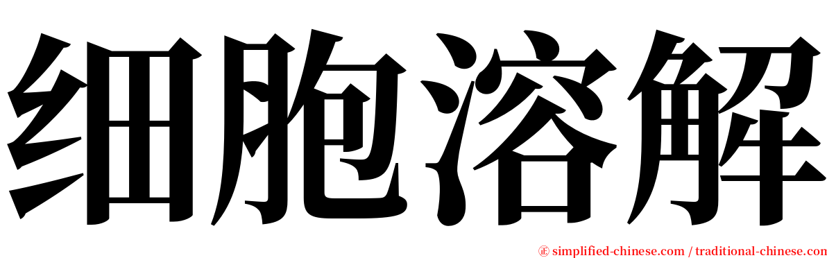 细胞溶解 serif font