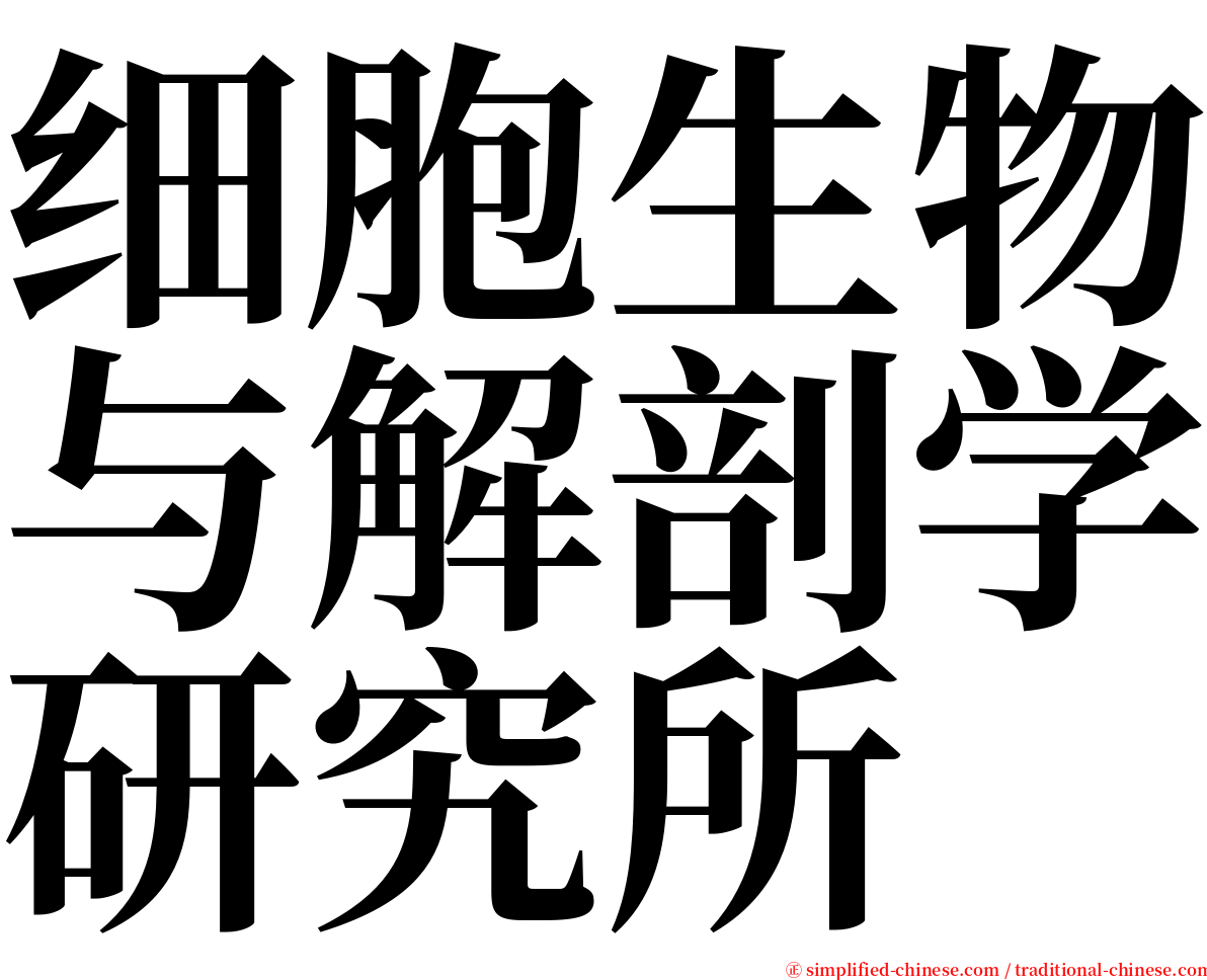 细胞生物与解剖学研究所 serif font