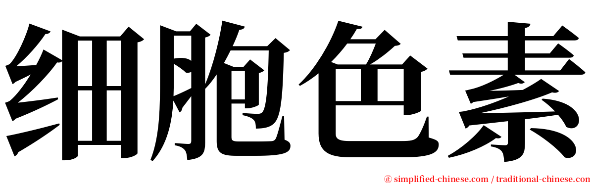 细胞色素 serif font