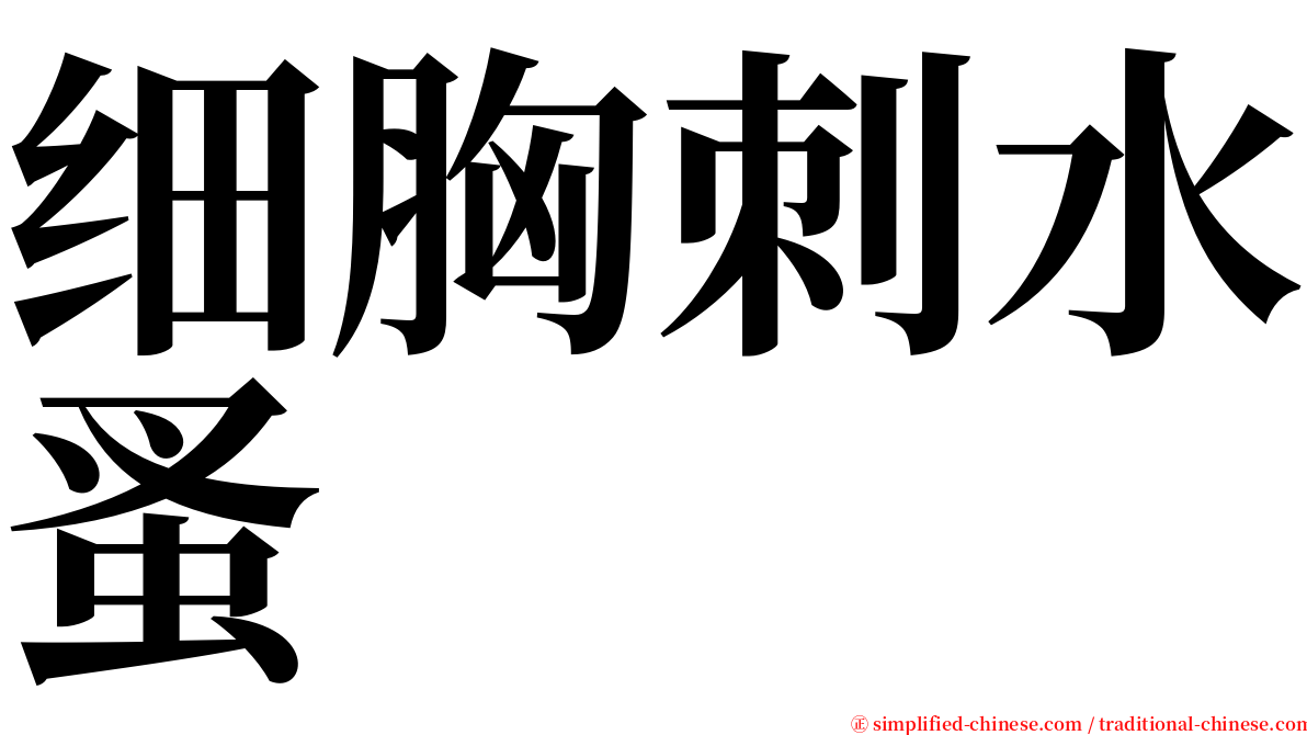 细胸刺水蚤 serif font