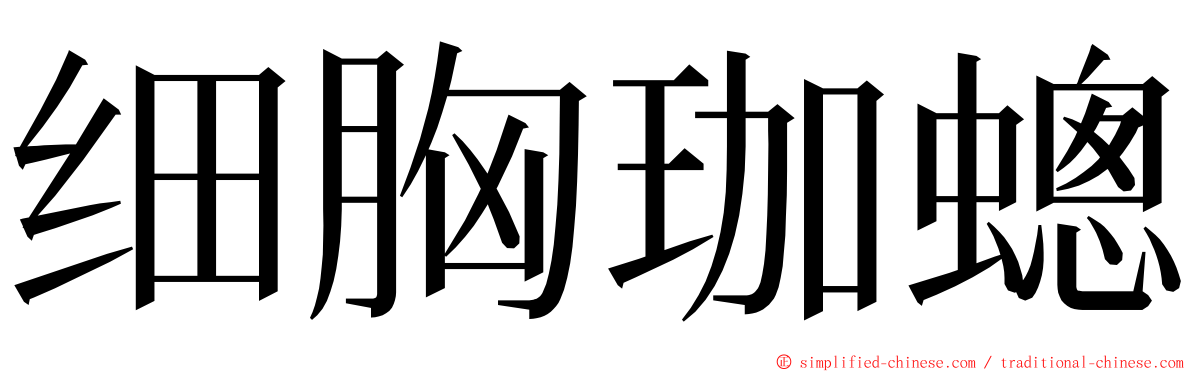 细胸珈蟌 ming font