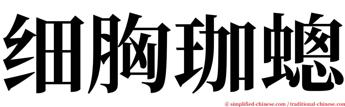 细胸珈蟌 serif font