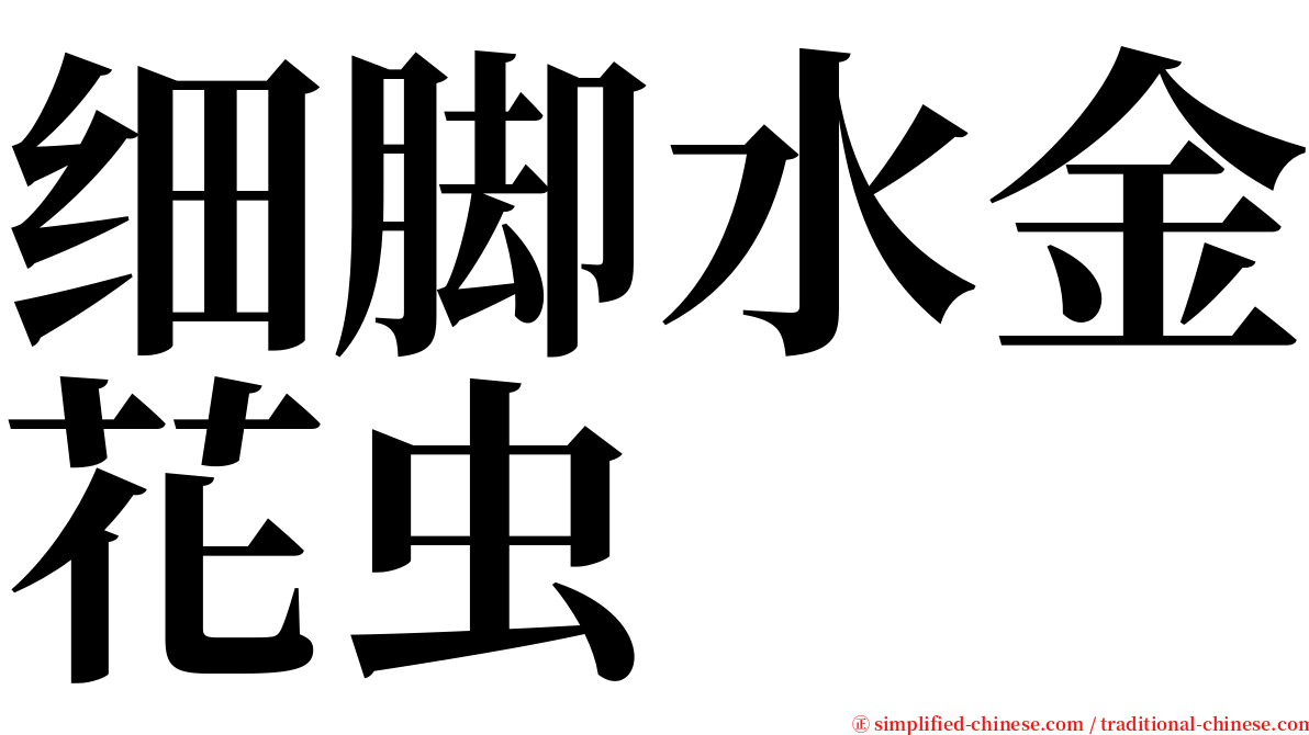 细脚水金花虫 serif font