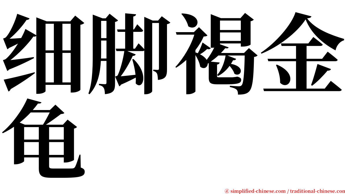 细脚褐金龟 serif font