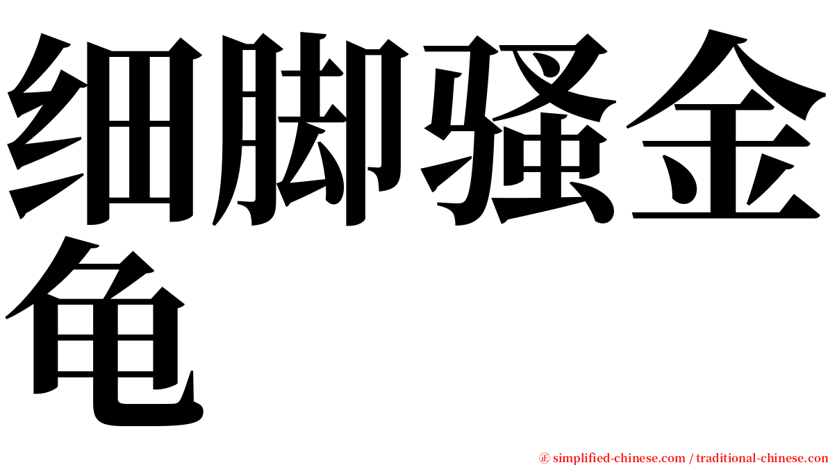 细脚骚金龟 serif font