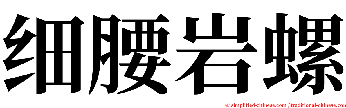 细腰岩螺 serif font