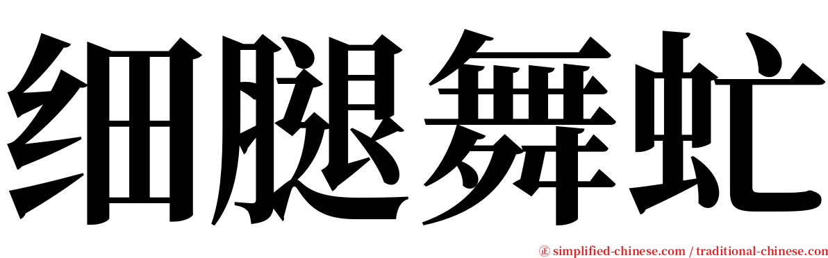 细腿舞虻 serif font