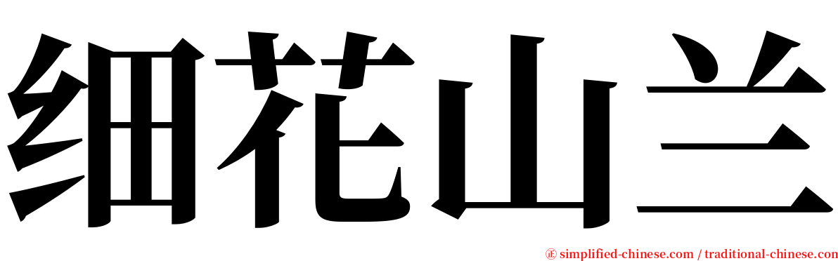 细花山兰 serif font