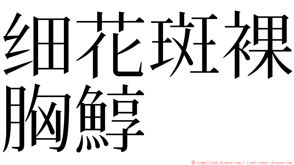 细花斑裸胸鯙 ming font