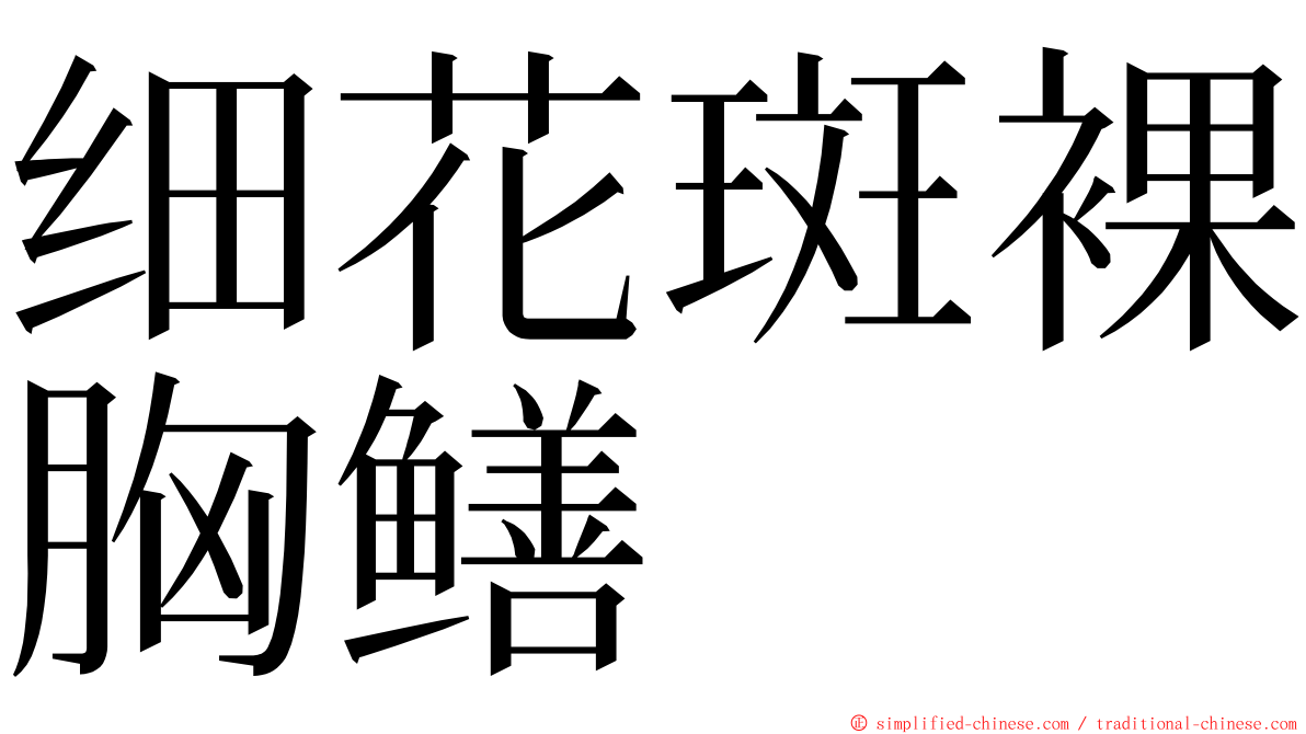 细花斑裸胸鳝 ming font