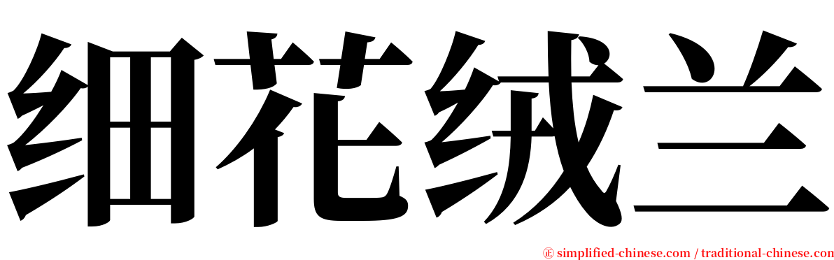 细花绒兰 serif font