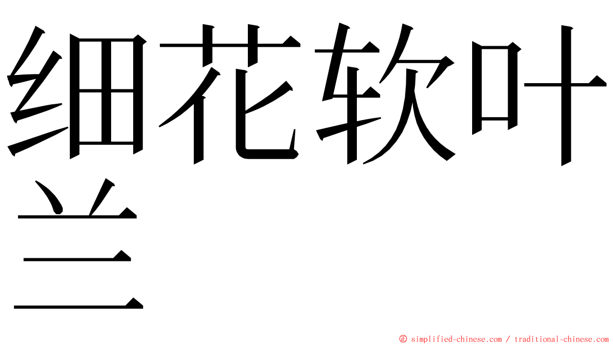 细花软叶兰 ming font