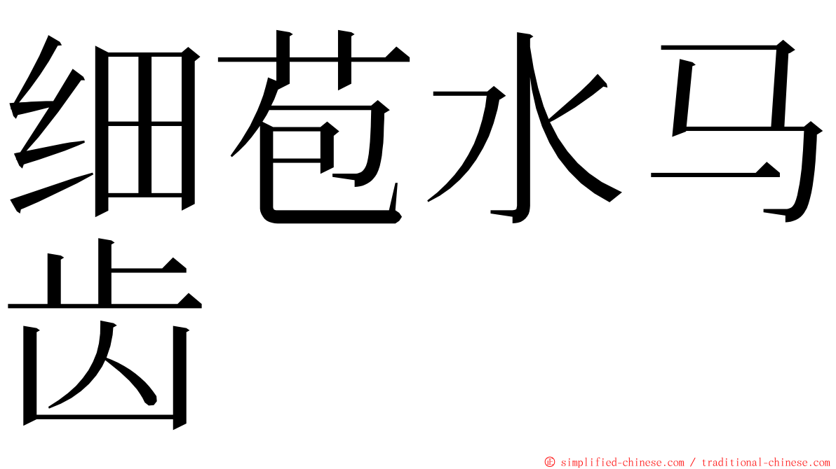 细苞水马齿 ming font