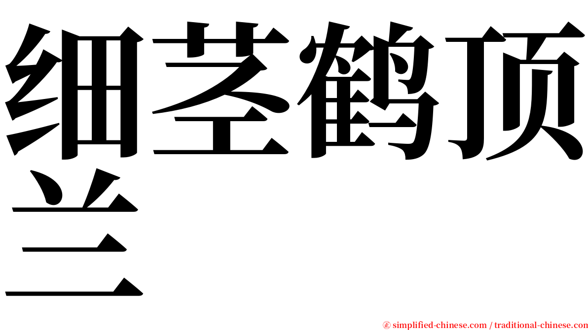 细茎鹤顶兰 serif font