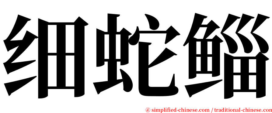 细蛇鲻 serif font