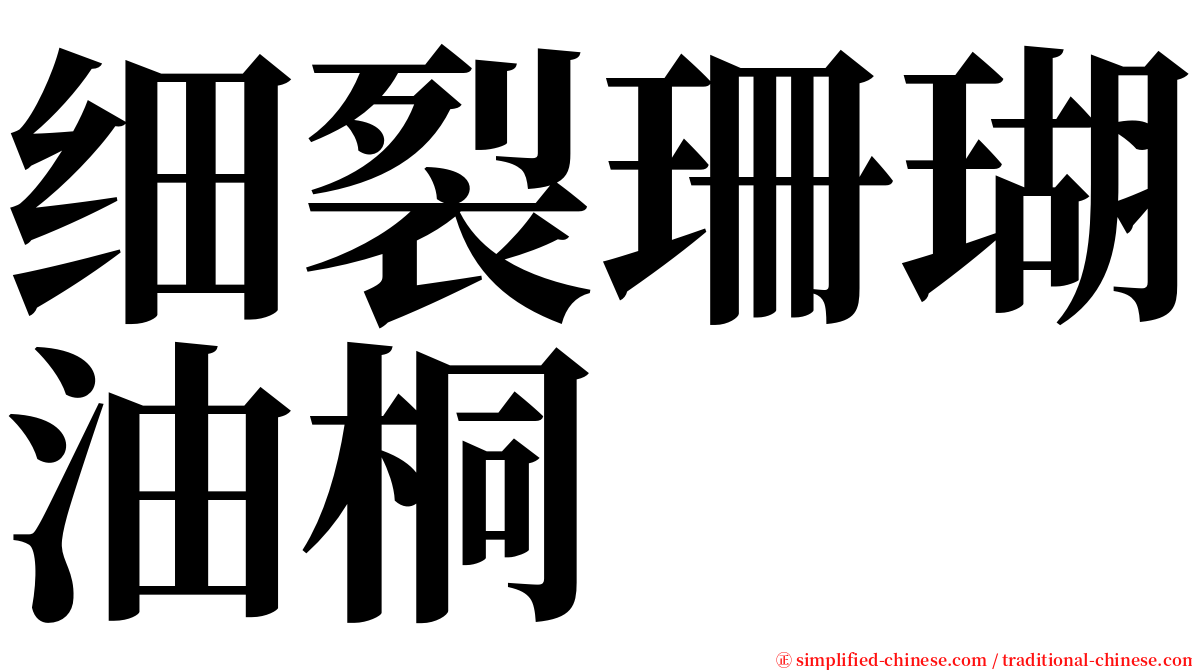 细裂珊瑚油桐 serif font