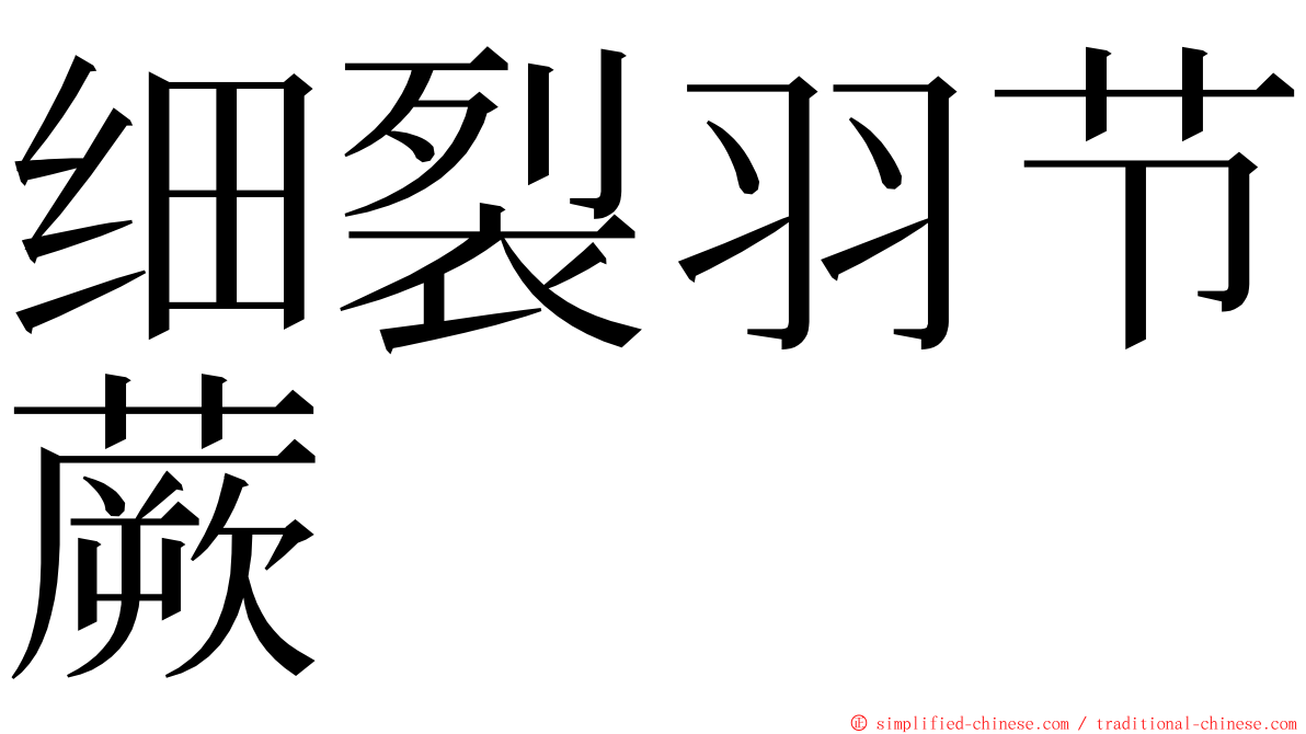 细裂羽节蕨 ming font