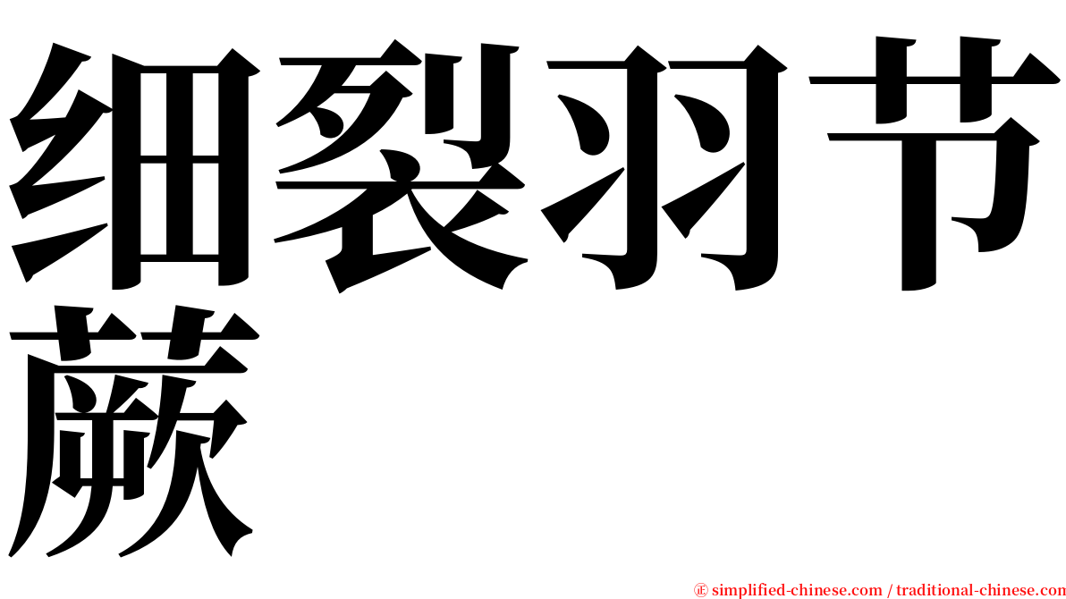 细裂羽节蕨 serif font