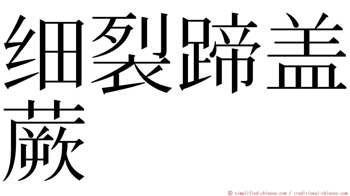 细裂蹄盖蕨 ming font