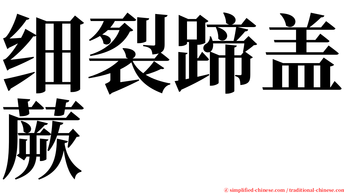 细裂蹄盖蕨 serif font