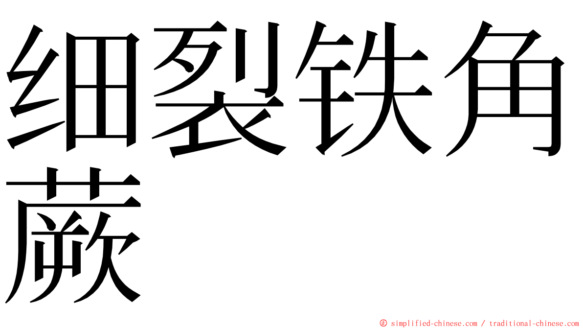 细裂铁角蕨 ming font