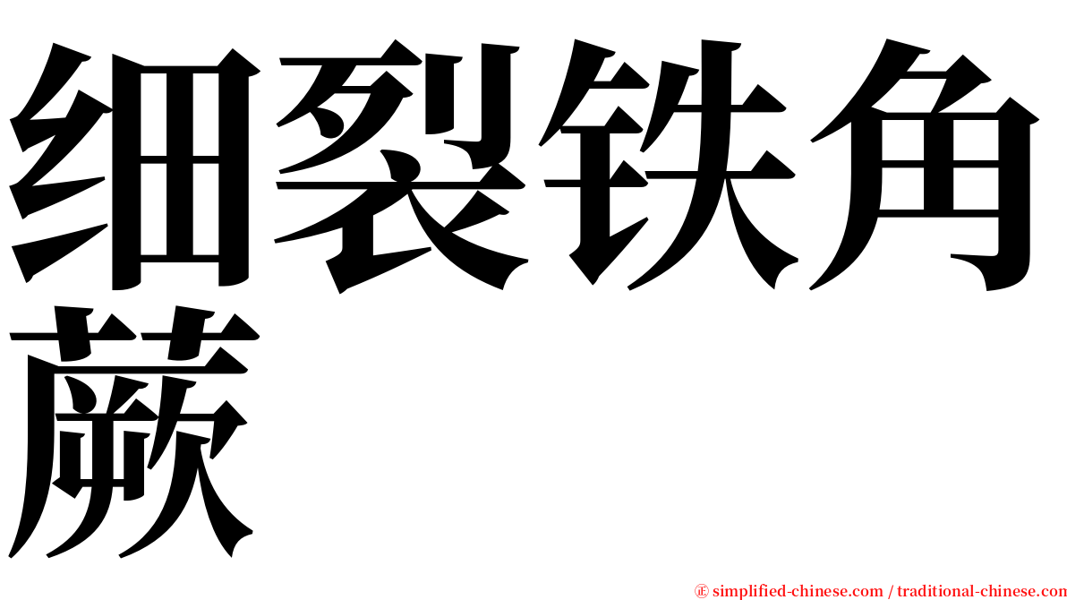 细裂铁角蕨 serif font