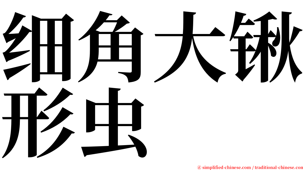 细角大锹形虫 serif font