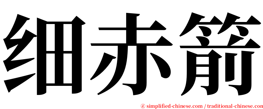 细赤箭 serif font