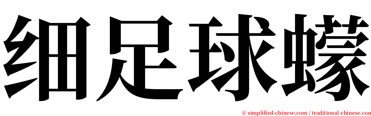 细足球蠓 serif font