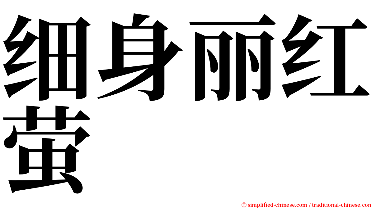 细身丽红萤 serif font