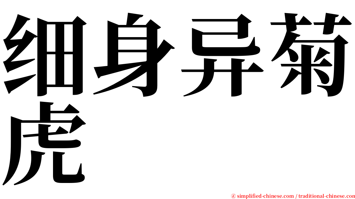 细身异菊虎 serif font