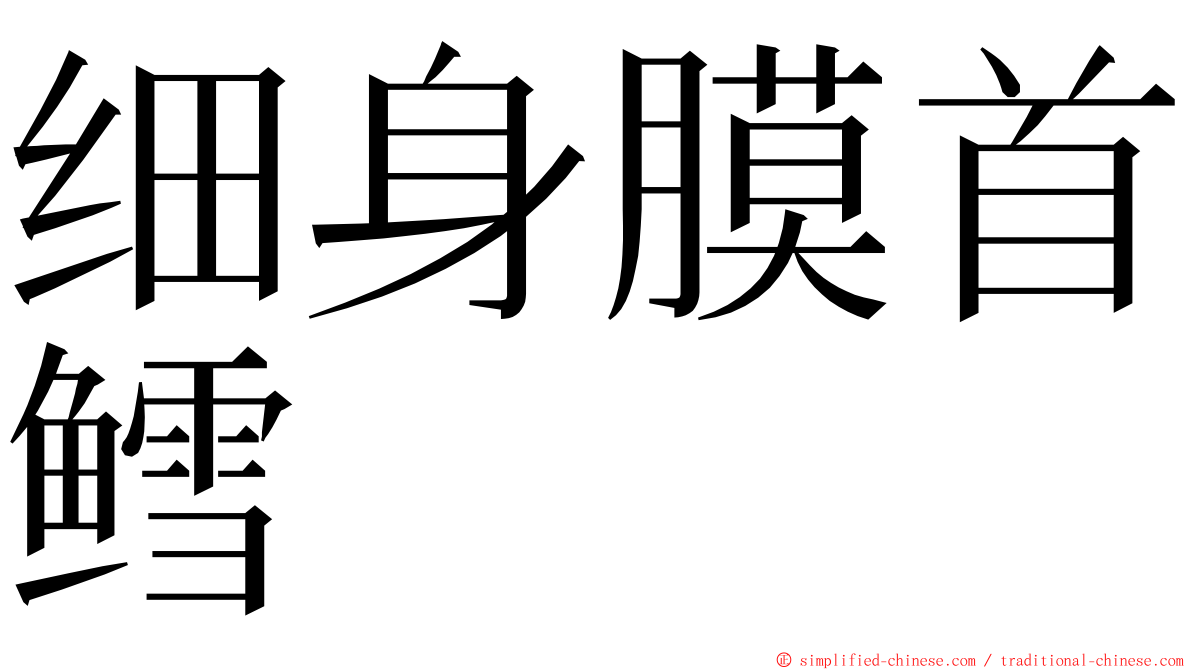 细身膜首鳕 ming font