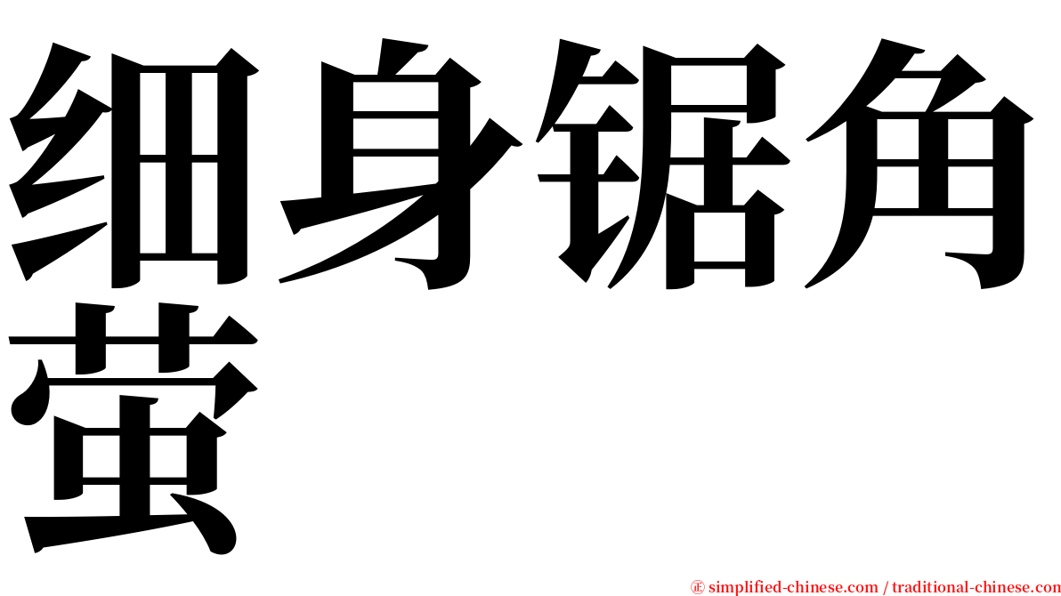 细身锯角萤 serif font