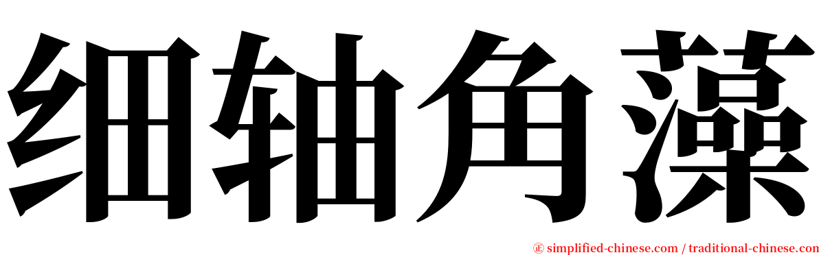 细轴角藻 serif font