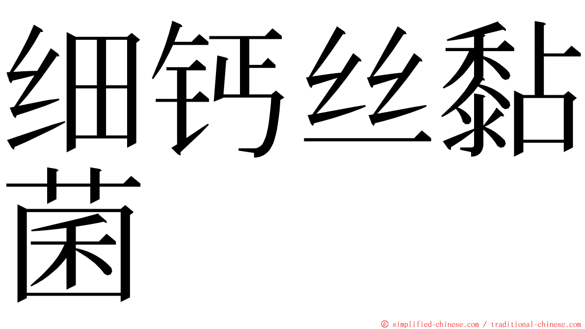 细钙丝黏菌 ming font