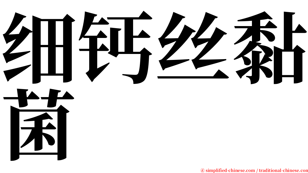 细钙丝黏菌 serif font