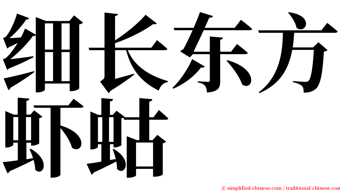 细长东方虾蛄 serif font