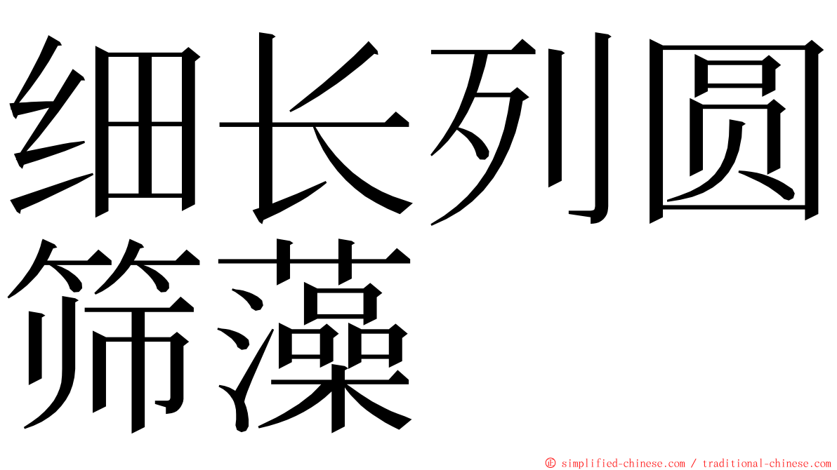 细长列圆筛藻 ming font