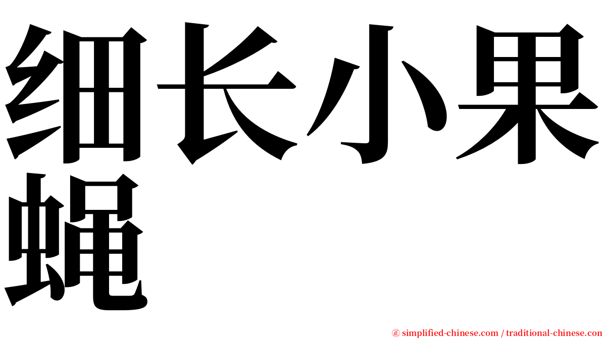 细长小果蝇 serif font