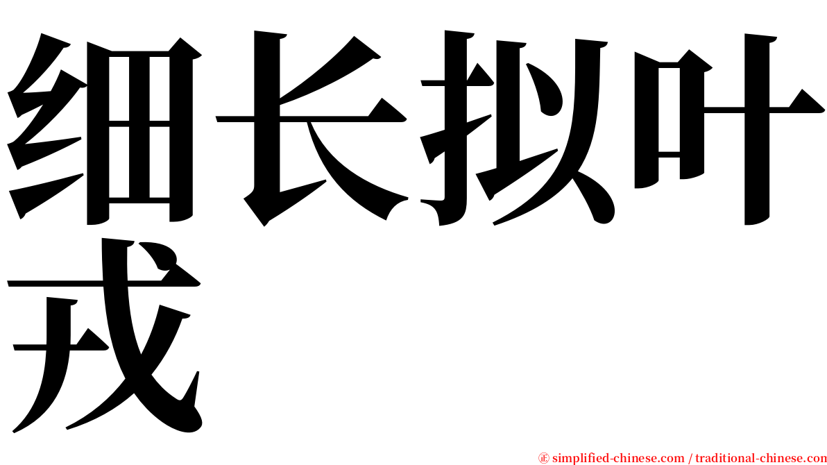 细长拟叶戎 serif font
