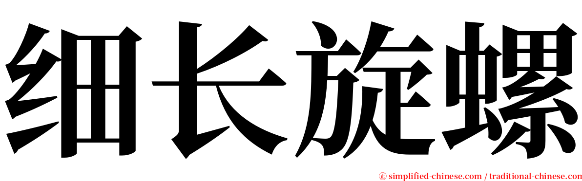 细长旋螺 serif font